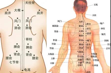 艾灸養(yǎng)肝疏通經(jīng)絡(luò)應(yīng)該灸哪里？