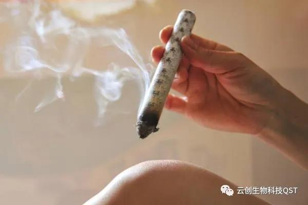 艾灸能同時調(diào)理好幾種婦科問題，簡單有奇效，現(xiàn)在開始灸還不晚！