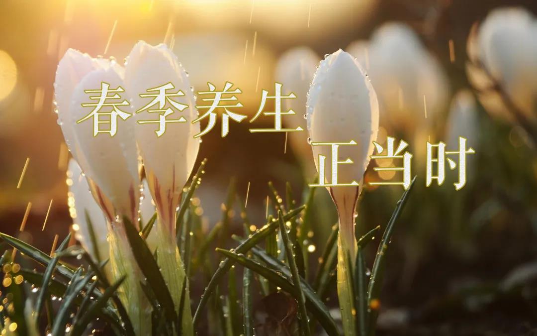 春天艾灸，陽上增陽，這些技巧別錯過！